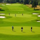 용평리조트 대중골프장 이미지