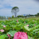 오천그린광장 이미지