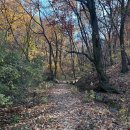 등산로69번길R | [경기/의왕] 등린이의 모락산 가을 등반 후기/ 사인암, 모락산4코스, 등산코스 추천