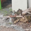 충남지하수