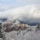 덕상한의원 이미지