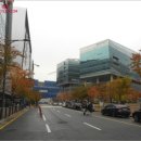 판교로255번길 이미지