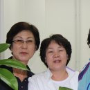 참아름 5단지 이미지