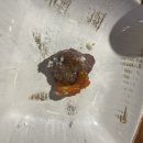 조선화로집 주안점 이미지