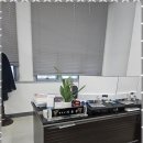 으뜸세무법인서