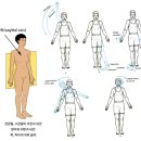 소마인력 - 부평구 | 소마인력