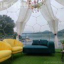 쁘띠독애견펜션 이미지