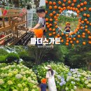 동화자동차정비 | 제주여행 아이와 가볼만한곳 중문 파더스가든 수국과 동물체험