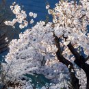 지리산털보농원 이미지