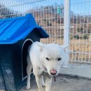 충원대로 이미지