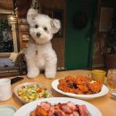 메종카누네 이미지