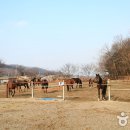 솔레이크 이미지