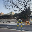 태릉중학교 이미지