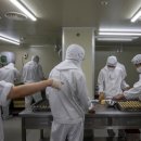 래그랜느보호작업장 이미지