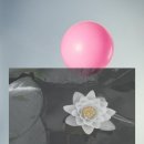 섬꽃향기 민박 이미지