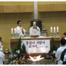 하계동성당 Daum카페