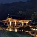 함양농업협동조합 | 함양산삼축제 산삼 먹거리 가격 꿀정보 후기