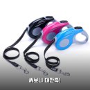 3M 리드줄 SJ 강아지 산책 하네스 써보니 2주 사용후기