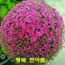 고운님 이미지
