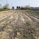 잘생긴부동산중개 이미지