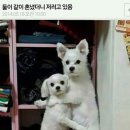 있어