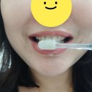 메디그린 | 롯데백화점에서 판매되는 온 가족 안심 사용, 리즈메디 덴탈그린치약 후기