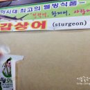 대청수산 네이버블로그