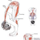 정직한 FIT 이미지