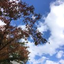 소소마켓 이미지