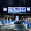 성남바다 | 성남 모란역 오징어회, 오징어 통찜 맛집 | 싱싱화바다 후기