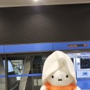 인천공항고등학교 앞 | 인천공항 1터미널 탑승동 고메브릿지 맛집 위치 메뉴판 가성비 후기