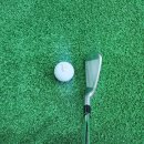 신형 포틴 TB5 2 FORGED 단조아이언 구매후기 당진골프매장