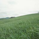 서산농장 이미지