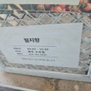 월지향 | 경주) 현지인 맛집 추천받아 간 한식집 조식, 중식 월지향