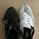 엔돌핀 | 런린이용 초보 카본화 써코니 엔돌핀 프로4 235 사이즈 후기