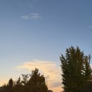 커튼콜 | 2025 유다빈밴드 단독 콘서트 &#39;우리의 밤-커튼콜&#39; 후기