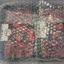 일파만파농장 | 쓰레드 딸기의 난 주인공 산청정희딸기(우현정딸기) 솔직후기