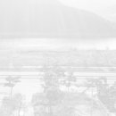 청벽거북 이미지