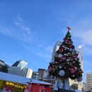 경찰가수 송준, 서울 시청광장 2025년 크리마스 츄리 점등식~ Merry Christmas 🎄 Happy New Year ~ 이미지
