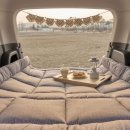 자동차생활 이미지