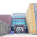 금진해변 중앙(풍차) | 전라도 신안 가볼만한곳 여행지 추천 대규모 신안 임자도 튤립축제