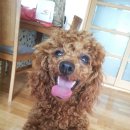 부산대학병원 앞 이미지