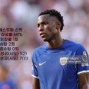 김현빈 카카오 검색결과