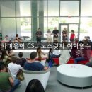 씨선 이미지