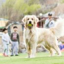 캠플레이 캠핑장 이미지