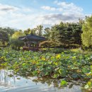 유성호텔실내수영장 이미지