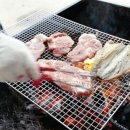 고기사라 이미지