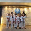 국가대표 메카태권도 이미지