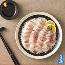 지에스더프레시고양