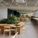 색채의 숲 이미지